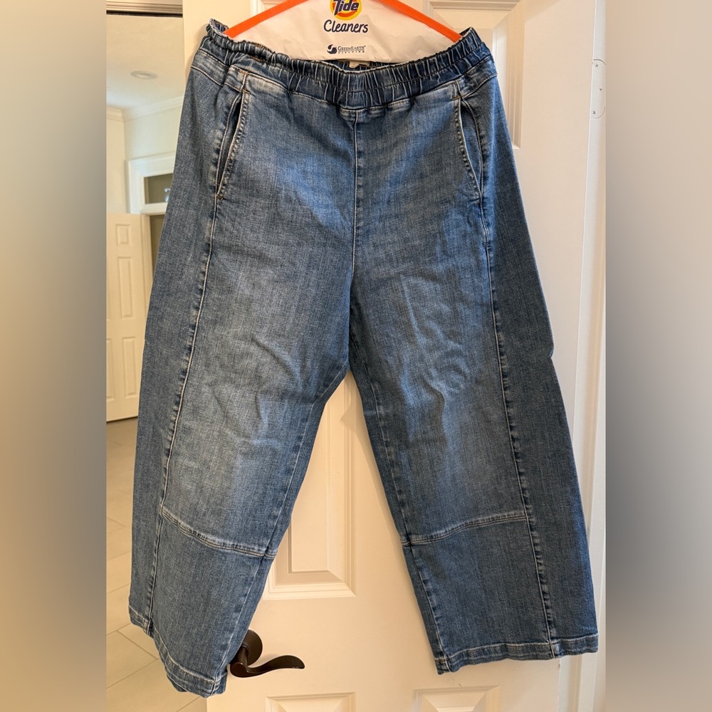 Anthropologie’s Pilcro Izzie Relaxed Pull-On Barrel Jeans, Sz Large Like New